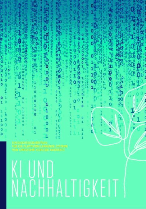 KI und Nachhaltigkeit – Ein Diskussionsbeitrag für die Plattform Lernende Systeme